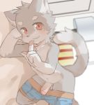  anthro balls blush claws clothing cub erection foreskin humanoid_penis kemono looking_at_viewer male mammal nekowuwu pawpads penis red_eyes smile solo standing underwear underwear_down young 