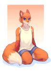  absurd_res anthro black_nose blue_bottomwear blue_clothing border bottomwear canid canine clothing collarbone color_fox dipstick_tail fox fur gloves_(marking) gradient_background hi_res inner_ear_fluff kneeling male mammal markings multicolored_fur multicolored_tail orange_fur simple_background sleeveless_shirt solo tan_fur white_border 
