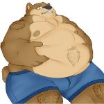  1:1 anthro belly belly_grab big_belly brown_bear brown_fur bulge clothed clothing fur hand_on_stomach hi_res male mammal mongrel_mika moobs navel nipples obese obese_male overweight overweight_male self_grab simple_background solo teeth thick_thighs topless underwear ursid ursine white_background 