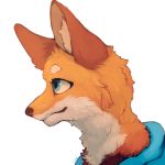  1:1 black_pupils blue_clothing blue_eyes canid canine clothing color_fox fox fur fur_tuft hi_res inner_ear_fluff looking_forward mammal multicolored_fur orange_fur side_view signature simple_background solo tan_fur tuft white_background 