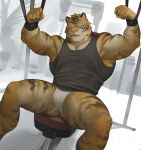  2019 5_fingers anthro armpit_hair biceps blue_eyes clothing felid hi_res horikwawataru jockstrap male mammal muscular muscular_male pantherine restrained shirt solo submissive_male tank_top tiger topwear underwear weight_bench 