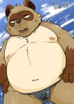  2019 absurd_res anthro belly brown_fur canid canine clothing fundoshi fur hi_res humanoid_hands japanese_clothing male mammal moobs navel nipples overweight overweight_male raccoon_dog solo tanuki tiri_mama underwear 