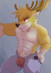  abs anthro biceps black_nose blonde_hair bottomwear bulge cervid chest_tuft clothed clothing countershading crotch_tuft fur grey_background hair hand_on_hip heffy038 male mammal muscular open_pants pants pecs red_eyes simple_background solo sweat topless tuft underwear white_countershading yellow_fur 