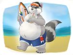  2019 4:3 anthro beach belly bottomwear clothing fur grey_fur hat headgear headwear hi_res humanoid_hands male mammal oliverkinter one_eye_closed overweight overweight_male procyonid raccoon seaside shorts solo water wink 