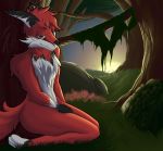  absurd_res canid canine forest fox fur hi_res kneeling male mammal red_fur scaliepunk sitting solo sunset tree 