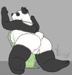  2018 anthro anus apron big_butt breasts butt clothing digital_media_(artwork) female fur giant_panda lavasi looking_at_viewer mammal mostly_nude overweight presenting presenting_hindquarters pussy simple_background smile solo thick_thighs ursid ursine 