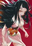  1girl angry black_hair breasts cleavage commentary_request floating_hair horn japanese_clothes kamado_nezuko kimetsu_no_yaiba long_hair medium_breasts obi open_mouth red_background red_eyes sash sharp_teeth simple_background smile solo spoilers standing teeth wanke 