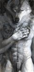  animal_genitalia anthro balls canid canine canis claws detailed eyes_closed fur grey_fur hibbary male mammal nude sheath solo traditional_media_(artwork) wolf 
