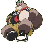  1:1 2019 anthro belly blush bottomwear brown_fur canid canine clothing fur hi_res hoodie humanoid_hands leaf male mammal overweight overweight_male quanjiang raccoon_dog shorts simple_background sitting solo tanuki white_background 