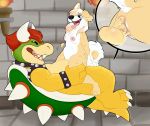  bowser cowgirl_(disambiguation) creamsicle dungeon duo female hi_res koopa male mario_bros nintendo penetration scalie size_difference vaginal vaginal_penetration video_games 
