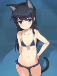  alice_gear_aegis animal_ears bangs bikini blue_bikini blue_eyes breasts cat_ears cat_tail collarbone commentary commentary_request cowboy_shot dark_blue_hair eyebrows_visible_through_hair frilled_bikini frills hand_on_hip kemonomimi_mode koashi_mutsumi looking_at_viewer navel shimada_fumikane skindentation small_breasts striped striped_bikini swimsuit tail 