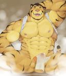  2017 abs anthro balls blush bodily_fluids brown_hair clothed clothing countershade_face countershade_torso countershading countsershade_arms embarrassed eyes_closed felid fur genital_fluids hair hand_behind_head hi_res male mammal muscular muscular_male nipples open-smile open_shirt orange_fur pantherine pecs penis precum sharp_teeth solo steam striped_fur stripes sweat teeth thedragonred12 tiger tongue towel vein veiny_penis yellow_countershading 