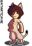  alpha_channel animated anthro batartcave black_fur black_nose bottomwear brown_eyes brown_hair chest_wraps clothing digital_media_(artwork) dipstick_tail domestic_cat eyebrow_through_hair eyebrows felid feline felis fur hair hair_over_eye low_res male mammal multicolored_tail pants pixel_(artwork) pixel_animation sher simple_background solo standing tan_bottomwear tan_clothing tan_fur tan_pants translucent translucent_hair transparent_background wraps 