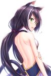  1girl animal_ear_fluff animal_ears backless_outfit bangs bare_arms bare_shoulders black_hair blush cat_ears cat_tail eyebrows_visible_through_hair flying_sweatdrops green_eyes highres kyaru_(princess_connect) long_hair looking_at_viewer looking_back low_twintails multicolored_hair open_mouth princess_connect! princess_connect!_re:dive shoulder_blades simple_background solo streaked_hair tail tomo_(user_hes4085) twintails very_long_hair white_background white_hair 