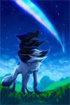  2019 2:3 black_fur black_nose canid canine canis day detailed_background digital_media_(artwork) domestic_dog feral fur hi_res mammal outside paws purple_fur sky vhitany white_fur 