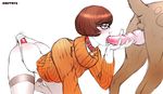  animated dmitrys scooby-doo tagme velma_dinkley 