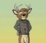  anthro antlers bottomless cervid clothed clothing flaccid fluffy green_eyes hoddie horn male mammal penis presenting smile smug standing tirrel tirrel_(character) ych_clothing 