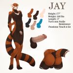  2018 4_toes ailurid anthro anus balls black_nose blue_eyes butt english_text fasttrack37d hi_res humanoid_penis jay_(draco32588) looking_at_viewer male mammal model_sheet nude penis red_panda simple_background smile solo text toes vein 