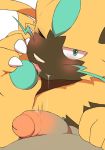  2019 blush claws cute_fangs duo fur human legendary_pok&eacute;mon looking_at_viewer male mammal nintendo one_eye_closed penis pok&eacute;mon pok&eacute;mon_(species) video_games whiskers yellow_fur yoshizaurusu_n zeraora 