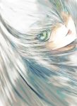  1girl big_hair commentary_request eyelashes eyes face green_eyes grey_hair hair_over_one_eye kemono_friends light_smile lips looking_at_viewer parted_lips ringed_eyes shoebill_(kemono_friends) solo stealstitaniums 