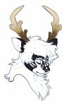  antlers black_fur blue_eyes cervid cervine fur horn loky mammal white_fur 