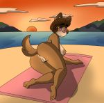  2019 anthro anus beach big_butt blush breasts butt canid canine digital_media_(artwork) female hi_res looking_at_viewer looking_back mammal mcfly0crash miranda_doug nipples nude outside pussy seaside smile solo sunset thick_thighs water 