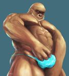  2017 abs anthro biceps blue_background brown_fur bulge clothing fur m7 male mammal monkey muscular muscular_male pecs primate pubes signature simple_background solo underwear 