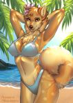  anthro beach blue_eyes bra breasts brown_eyes canid canine canis clothing collaboration day diaminerre domestic_dog female fluffy fluffy_tail forenza heterochromia leaf lirietrai mammal outside palm_tree pose rock sand sea seaside solo sunny tree underwear water 
