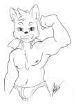  barazoku body_hair bulge canid canine canis clothing flexing happy_trail hi_res jason_maccon looking_at_viewer male mammal muscular ponytail retro_future ribbons sketch speedo swimwear underwear wolf 