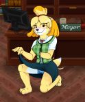  2018 accessory animal_crossing blush bottomwear breasts brown_eyes camel_toe canid canine canis cardigan clothed clothing computer desk detailed_background dipstick_tail domestic_dog female grin grope hair_accessory inside isabelle_(animal_crossing) kneeling mammal multicolored_tail nintendo panties presenting skirt smile solo underwear upskirt video_games vorechestra 