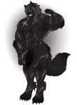  absurd_res alexaxes anthro balls canid canine canis flaccid flexing hi_res humanoid_penis looking_at_viewer male mammal monochrome muscular muscular_male nude pecs penis pubes smile solo standing wolf 