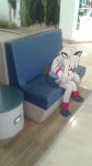  2019 anthro bench bottomwear camera_view canid canine canis clothed clothing digital_media_(artwork) domestic_dog dzaladan female footwear fur hair hi_res husky legwear lowered_head mall mammal nordic_sled_dog photo real shirt shoes shorts sitting socks solo spitz t-shirt topwear white_fur white_hair 