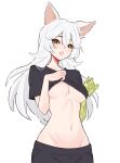  1girl animal_ears black_pants black_shirt breasts cat_ears clothes_lift collarbone colored_extremities commentary commission dijor98 english_commentary green_eyes green_hands highres long_hair looking_at_viewer navel original pants parted_lips shirt shirt_lift simple_background solo white_background white_hair 