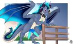 2025 2_penises animal_genitalia black_sclera blue_body blue_claws blue_fur blue_knot blue_mane blue_membrane blue_penis claws digitigrade dragon erection feral finger_claws fur genital_slit genitals hi_res horn knot knotted_penis looking_at_viewer male mane membrane_(anatomy) membranous_wings multi_genitalia multi_penis mythological_creature mythological_scalie mythology penis purple_eyes purple_horn scalie shaded snout solo toe_claws watermark wings zyria
