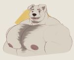 anthro areola barazoku beard biceps big_muscles big_pecs black_nose black_sclera body_hair button_ears canid canine canis chest_hair deltoids digital_drawing_(artwork) digital_media_(artwork) domestic_dog ear_piercing eye_scar eyebrows facial_hair facial_scar flat_colors floppy_ears fur gold_ear_piercing gold_ear_ring gold_piercing grey_beard grey_body grey_eyebrows grey_facial_hair grey_fur grey_inner_ear grey_mustache half-length_portrait hi_res huge_muscles huge_pecs looking_at_viewer male male_anthro mammal multicolored_body multicolored_fur muscular muscular_anthro muscular_male mustache nipples nude nude_anthro nude_male open_mouth open_smile pecs piercing pink_areola pink_nipples pink_tongue portrait scar simple_background smile smiling_at_viewer solo teeth theor three-quarter_view tongue trapezius two_tone_body two_tone_fur white_body white_fur yellow_eyes