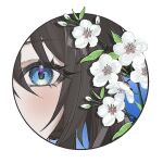  1girl artist_request blue_eyes blush border branch brown_hair chinese_commentary close-up commentary_request commission flower honkai:_star_rail honkai_(series) looking_at_viewer outside_border plum_blossoms portrait round_border ruan_mei_(honkai:_star_rail) second-party_source solo white_flower 