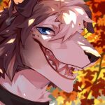  1:1 ambiguous_gender anthro black_collar blue_eyes brown_hair canid canine canis collar corzh77 day domestic_dog ear_piercing ear_ring fangs floppy_ears fur hair hi_res looking_at_viewer mammal narrowed_eyes open_mouth open_smile outside piercing pink_tongue ring_piercing smile solo tan_body tan_fur tan_hair teeth tongue white_body white_fur white_hair 