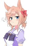  1girl :3 absurdres animal_ears blue_eyes blush bow bowtie braid braided_bangs breasts hair_bow highres horse_ears horse_girl medium_breasts pink_hair ponytail puff_of_air puffy_short_sleeves puffy_sleeves purple_bow purple_bowtie purple_shirt red_bow sailor_collar shirt short_hair short_hair_with_long_locks short_ponytail short_sleeves sidelocks simple_background single_braid smug solo swept_bangs umamusume venus_paques_(umamusume) white_background white_sailor_collar yeconer 