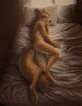  2019 5_fingers anthro balls bed brown_fur brown_nose canid canine digital_media_(artwork) digitigrade ear_piercing ear_ring fennec fox fur jewelry kyden male mammal necklace nude on_bed penis piercing rukis solo tan_fur 
