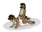 2011 all_fours anthro anthro_on_anthro areola biped black_nipples black_nose black_pawpads black_penis breasts brown_hair butt colored countershade_torso countershading duo female fox0808 from_behind_position fur genitals growth hair human human_on_anthro human_to_anthro hyena interspecies kneeling male male/female mammal markings mid_transformation neck_tuft nipples nude open_mouth pawpads penis sex shaytalis simple_background smile species_transformation split_form spots spotted_hyena tail tail_growth tan_body tan_fur teeth tongue transformation transformation_through_sex tuft white_background yellow_sclera