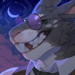  1:1 anthro bust_portrait cheek_tuft clothed clothing cloud corzh77 eyewear facial_tuft fur glasses green_eyes grey_body grey_fur grin hi_res lagomorph leporid looking_at_viewer male mammal moon narrowed_eyes night portrait rabbit round_glasses smile solo teeth tinted_glasses tuft vc_wolffe_(vc_wolffe) white_body white_fur 