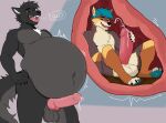 anthro balls belly big_belly bodily_fluids canid canine canis domestic_dog duo erection fur genital_fluids genitals hi_res husky hybrid male mammal nordic_sled_dog nude oral_vore penis simple_background spitz videlthewusky vore vore_tyr wolf wolfdog