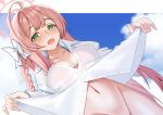  ahoge blue_archive blue_sky blush border bottomless clothes_lift commentary_request exhibitionism green_eyes halo hanako_(blue_archive) hanako_(swimsuit)_(blue_archive) highres huge_ahoge iseshi lifting_own_clothes long_hair midriff navel open_mouth pink_hair pink_halo public_indecency shirt_lift sky very_long_hair white_border 