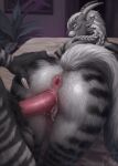  2025 4_ears 4_horns aniahara_frostwind anthro anthro_on_anthro anthro_penetrated anthro_penetrating anthro_penetrating_anthro anus ass_up balls bed biped black_body black_fur braided_hair butt charr claws detailed_background digital_media_(artwork) duo erection fangs felid female female_anthro female_penetrated finger_claws from_behind_position fur furniture genitals grey_body grey_fur guild_wars hair hand_on_butt hi_res himeragoldtail horn inside intraspecies looking_at_viewer looking_back looking_back_at_viewer male male/female male_anthro male_penetrating male_penetrating_female mammal multi_ear multi_horn multicolored_body multicolored_fur on_bed penetration penile penile_penetration penis_in_vagina pink_anus pink_vulva sex smile striped_body striped_fur stripes teeth vaginal vaginal_penetration white_body white_fur white_hair 