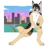  2017 4_toes 5_fingers black_hair blue_eyes brown_nose canid canine canis citrinelle city day detailed_background digital_media_(artwork) digitigrade domestic_dog fur hair hi_res mammal nude outside smile solo tan_fur toes 
