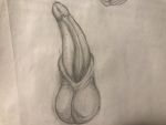  4:3 absurd_res animal_genitalia balls dragon drawing erection genital_slit hi_res monochrome penis sketch slit tapering_penis 