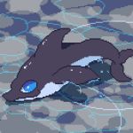  1:1 animated blue_eyes cetacean delphinoid digital_media_(artwork) feral low_res mammal marine ouroporos pixel_(artwork) toothed_whale water 