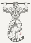  2019 anthro back_muscles backsack balls biceps big_balls black_and_white but cheetah claws exercise feet felid feline grin hair hi_res hybrid inkrend looking_at_viewer looking_back male mammal monochrome muscular musuclar_male nude pantherine perineum quads simple_background smile solo tiger toe_claws triceps 