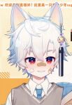  1boy animal_ears bandaid bandaid_on_face bandaid_on_nose collar dog_boy dog_ears lu_yejiu male_focus non-web_source pale_skin red_eyes tail white_animal_ears white_hair 