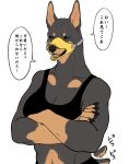 anthro bra breasts canid canine canis clothed clothing dobermann domestic_dog female hi_res mammal muzzle_(object) muzzled nekomata_ftnr pinscher solo sports_bra tail tail_motion tailwag underwear